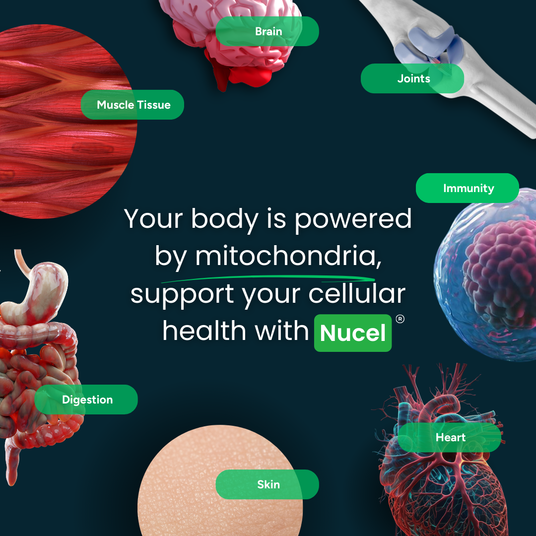 Nucel Longevity & Cellular Performance Formula