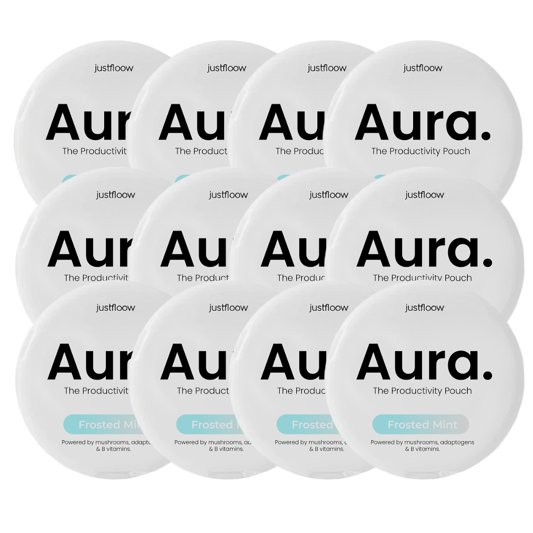 Aura Nootropic Productivity Pouch
