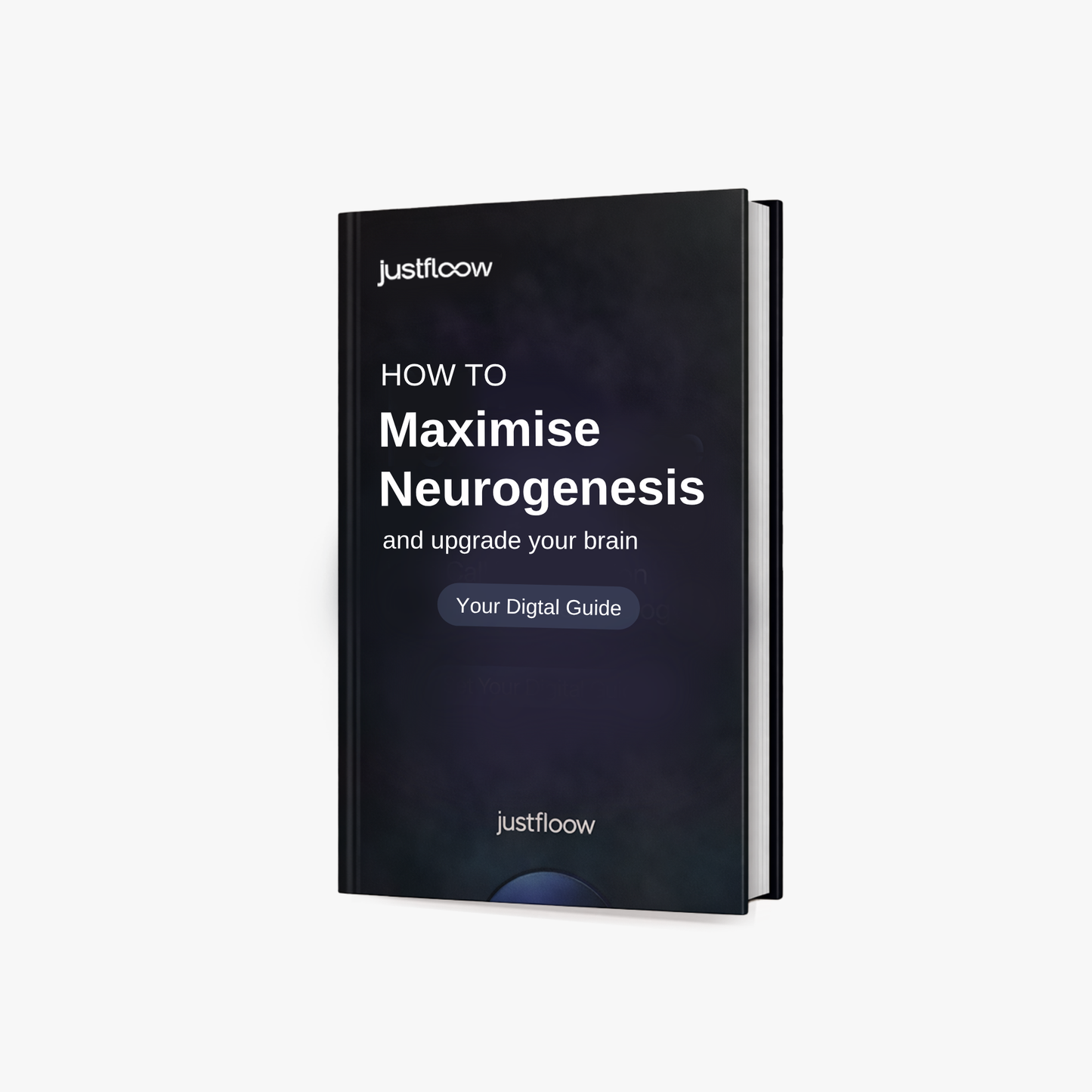 Digital Brain Performance Guide (100% off)