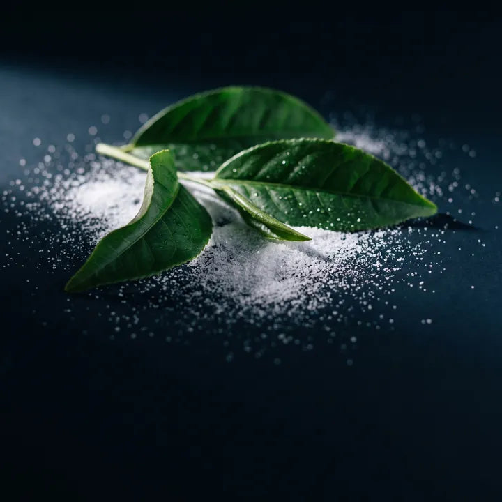 L-Theanine