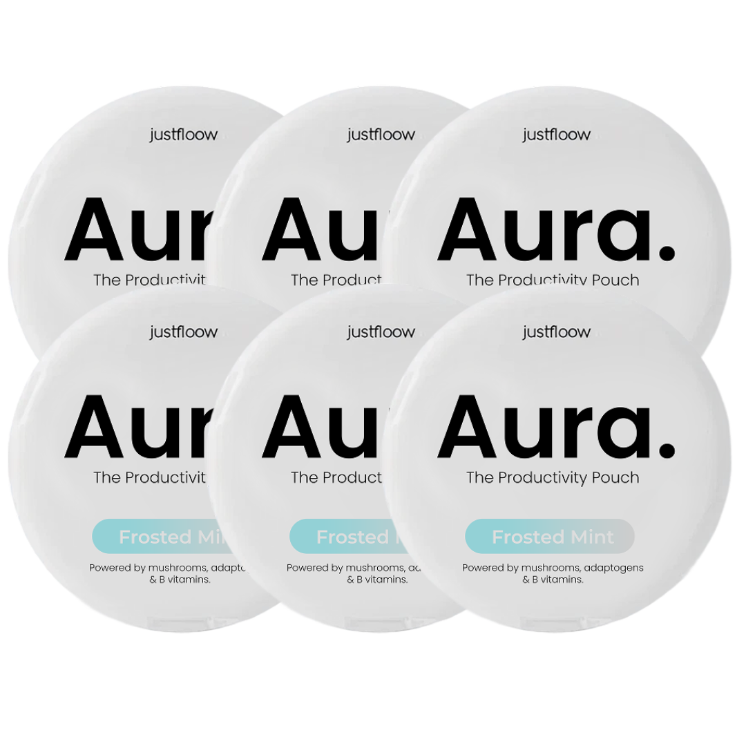 Aura Nootropic Productivity Pouch