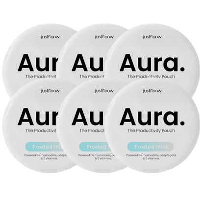Aura Nootropic Productivity Pouch