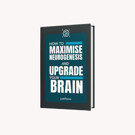 FREE Ebook: The Brain Performance Blueprint