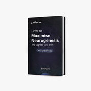 Brain Performance Guide